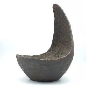 Coque pour bonsaï